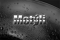 Motýli