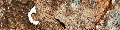 náhodný detail křídel
