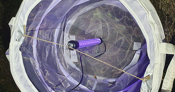 Uchycení lampy