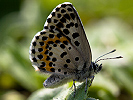 0405211743IMG_4446-Edit.jpg