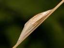 0609124959_MG_3607.jpg