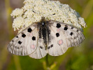 0609191216_MG_4470.jpg