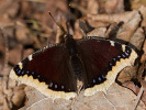 1004214213_MG_7544.jpg
