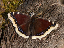1004214213_MG_7616.jpg