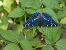 1008142825_MG_2435.jpg