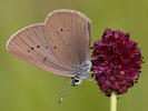 1009204705_MG_6671.jpg