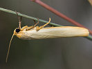 1010225947IMG_2713.jpg