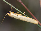 1010225947IMG_2718.jpg