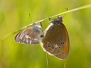1109111916IMG_6818.jpg