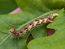 1205221607IMG_1884.jpg