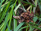 1205221607IMG_1913.jpg