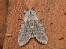 1206201157_MG_6277.jpg