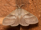 1206201157_MG_6344.jpg
