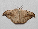 1206201157_MG_6392.jpg