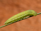 1206201157_MG_6430.jpg