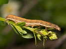 1206201157_MG_6533.jpg