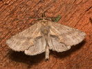 1206201157_MG_6548.jpg