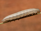 1206201157_MG_6565.jpg