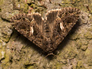 1206201157_MG_6655.jpg