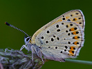 1206205922IMG_6445.jpg