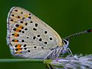 1206205922IMG_6451.jpg