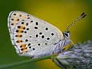 1206205922IMG_6467.jpg