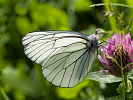 1206205922IMG_6693.jpg
