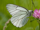 1206205922IMG_6784.jpg
