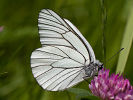1206205922IMG_6792.jpg