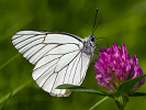 1206205922IMG_6809.jpg