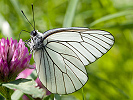 1206205922IMG_6822.jpg