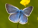 1206205922IMG_7355.jpg