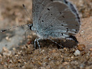 1207201300IMG_8661.jpg