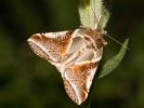 1209202757_MG_2484.jpg