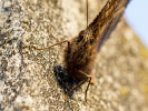 1304194144IMG_2348.jpg