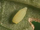 1401204146_MG_5049.jpg