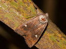 1410201613_MG_4301.jpg