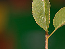 1412205256_MG_9113.jpg