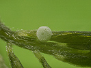 1607150413_MG_7355.jpg