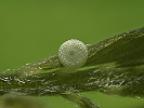 1607150413_MG_7390.jpg