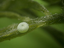 1607150413_MG_7466.jpg