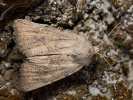 170991950_MG_2961.jpg