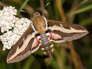 170991950_MG_3166.jpg
