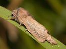 170991950_MG_3468.jpg