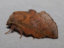 1904121412_MG_8653.jpg