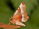 1905140010_MG_4578.jpg