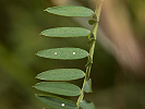 1911204018_MG_3449.jpg
