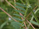 1911204018_MG_3462.jpg