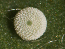 1911204018_MG_3809.jpg