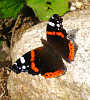 2007-02-07-08-52-00-img_2354.jpg